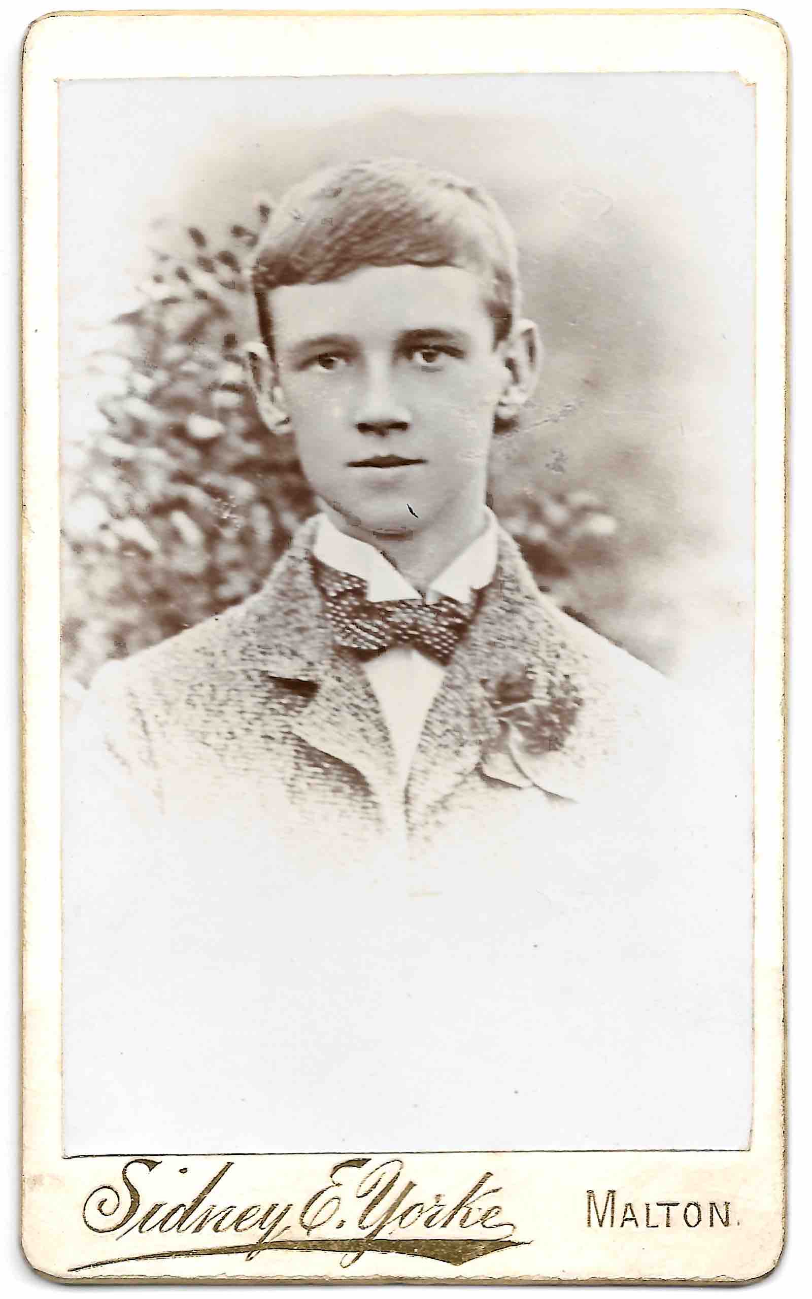 A short description about the image.