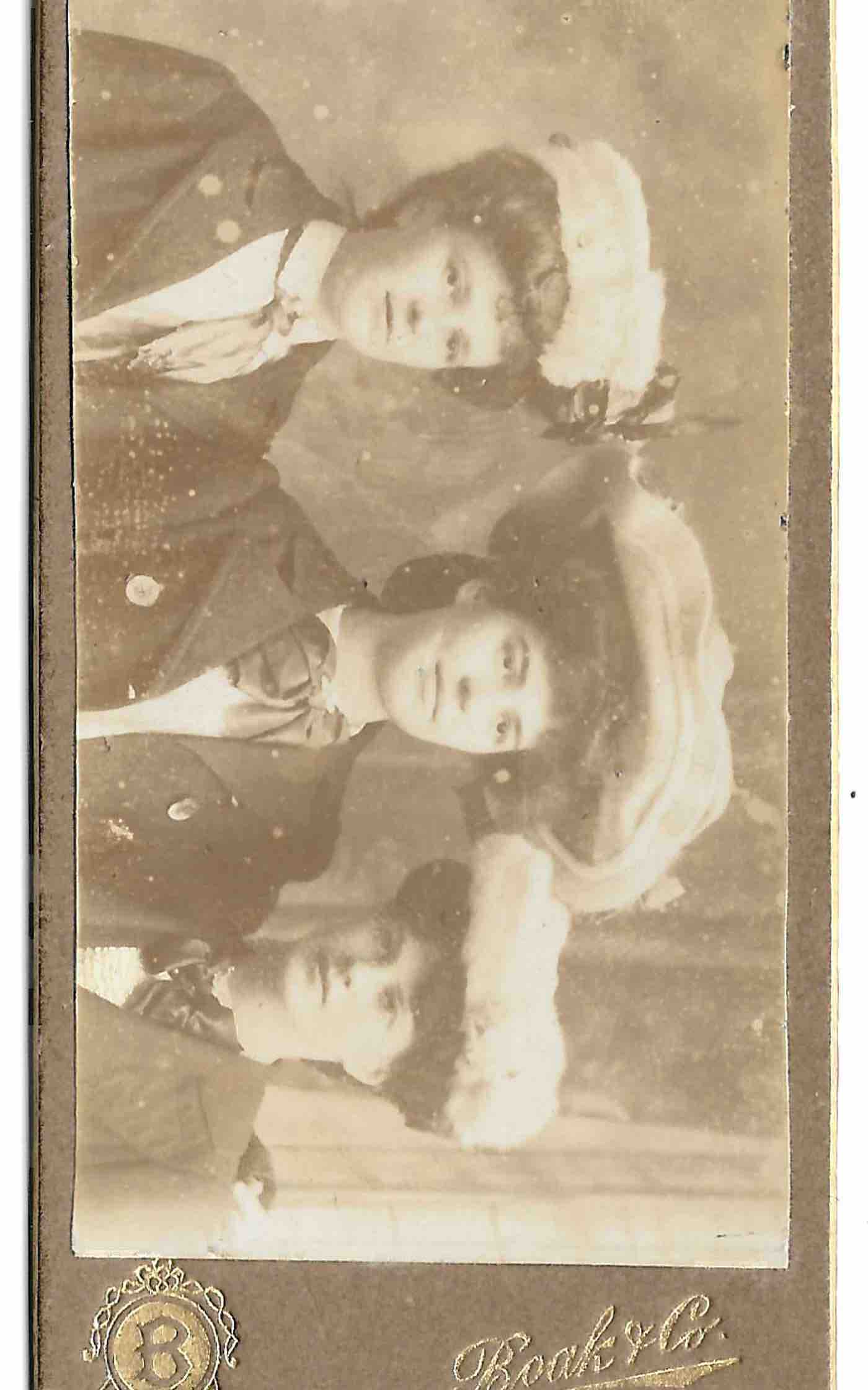 A short description about the image.